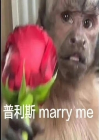 主卧窗帘女生